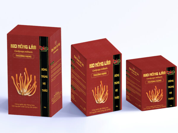 Hộp giấy đựng đông trùng hạ thảo