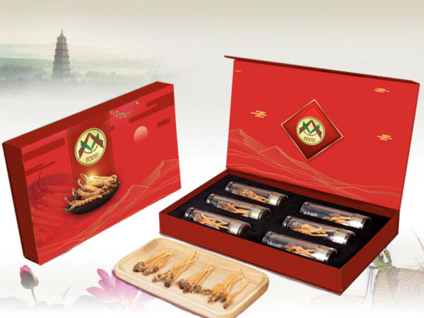 Sét hộp quà tết đông trùng hạ thảo