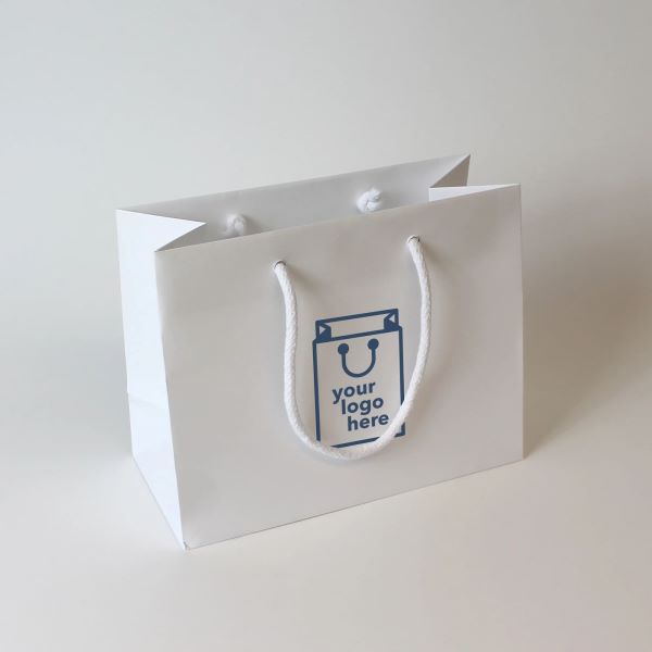 Mẫu 1 túi giấy đựng giày​