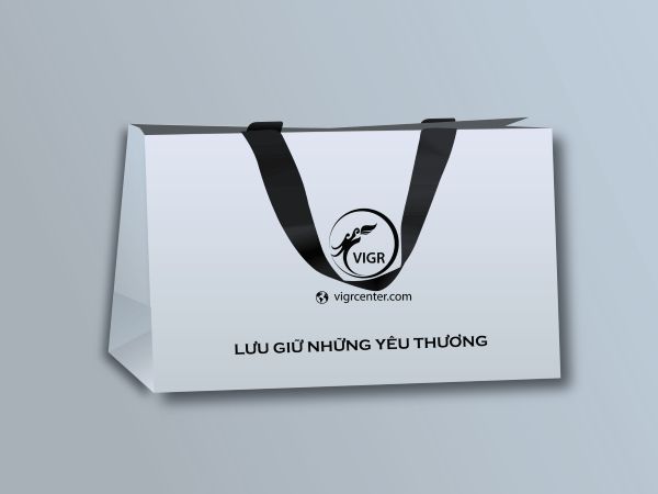 Túi giấy Couches đựng quần áo
