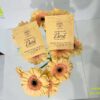 Bao bì đựng cafe túi lọc mau cafe tui loc 10gr