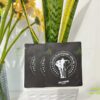 Bao bì đựng cafe túi lọc tui cafe 3 bien giay kraft ghep mang bac