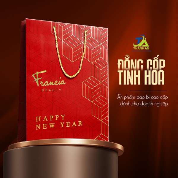 Các kích thước túi giấy chuẩn phổ biến hiện nay Mẫu túi quà tết sang trọng, cao cấp