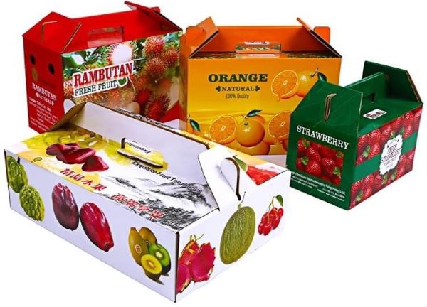 10+ mẫu hộp giấy đựng trái cây ấn tượng, độc đáo Lý do nên sử dụng hộp giấy đựng trái cây
