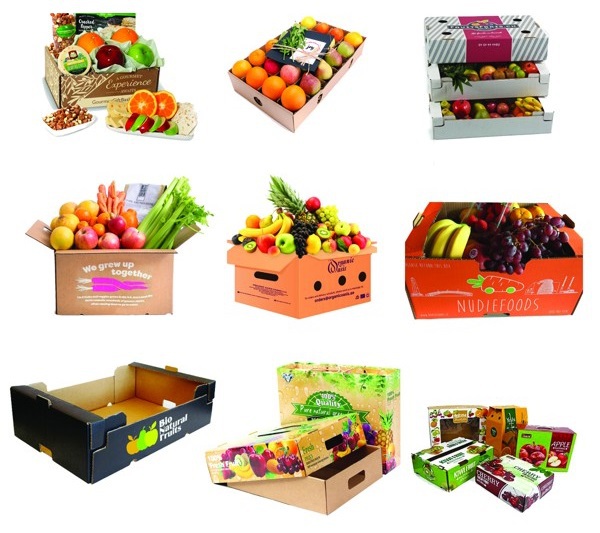 10+ mẫu hộp giấy đựng trái cây ấn tượng, độc đáo Mẫu 1 hộp giấy đựng trái cây