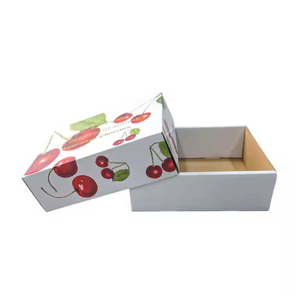 10+ mẫu hộp giấy đựng trái cây ấn tượng, độc đáo Mẫu 5 hộp giấy đựng trái cây