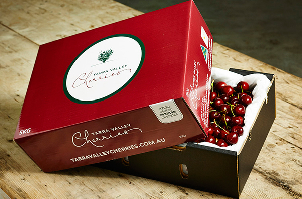 10+ mẫu hộp giấy đựng trái cây ấn tượng, độc đáo Mẫu 6 hộp giấy đựng trái cây