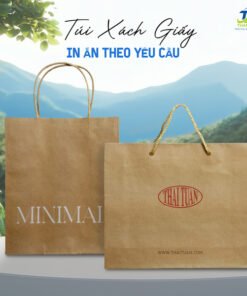Túi giấy kraft có quai giá sỉ tại In Thanh An