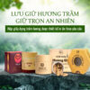 Hộp giấy đựng trầm hương Hộp giấy đựng trầm hương