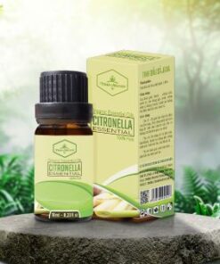 Hộp giấy đựng tinh dầu giúp bảo vệ sản phẩm và nâng tầm thương hiệu