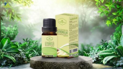 Hộp giấy đựng tinh dầu giúp bảo vệ sản phẩm và nâng tầm thương hiệu