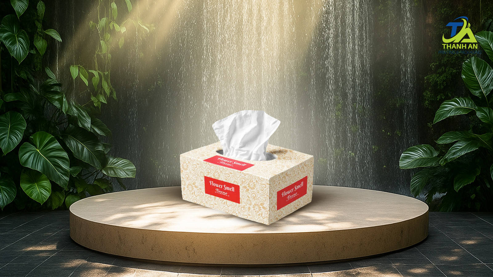 Hộp đựng khăn giấy Hộp đựng khăn giấy đạt chuẩn