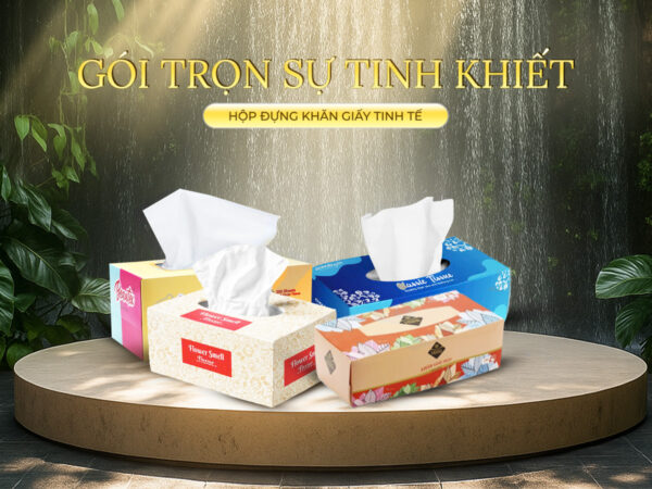 Hộp đựng khăn giấy