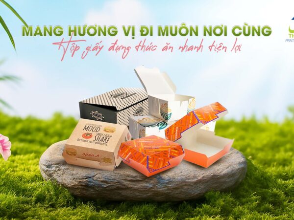 Hộp giấy đựng thức ăn nhanh