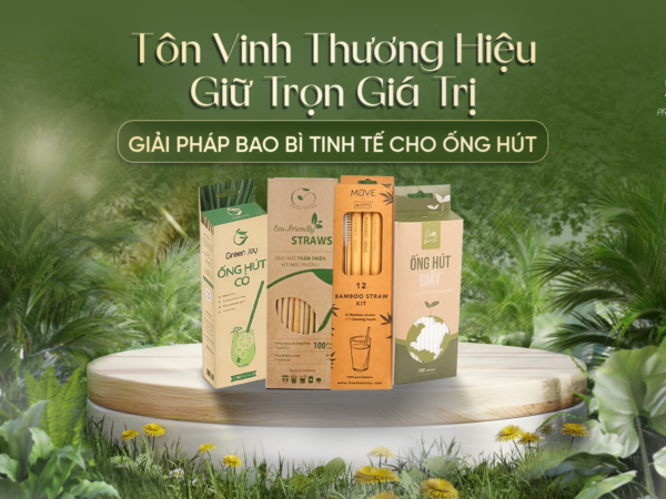 Hộp đựng ống hút giấy