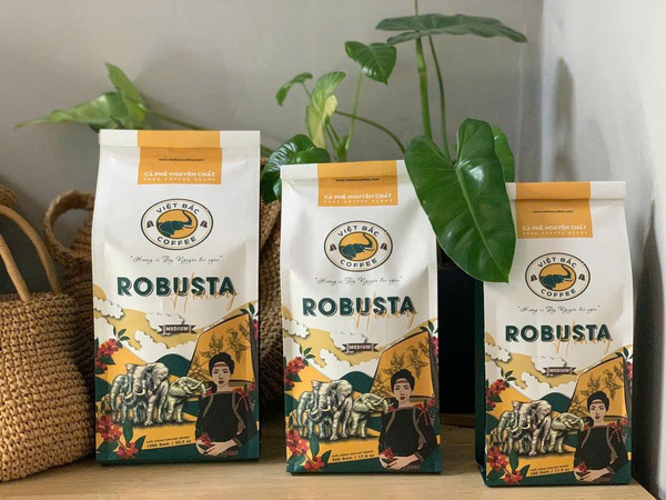 Mẫu thiết kế bao bì cafe đậm chất màu sắc Tây Nguyên