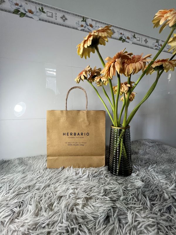 Túi giấy kraft nâu đựng hàng thân thiện với môi trường Mẫu 2 túi giấy kraft nâu