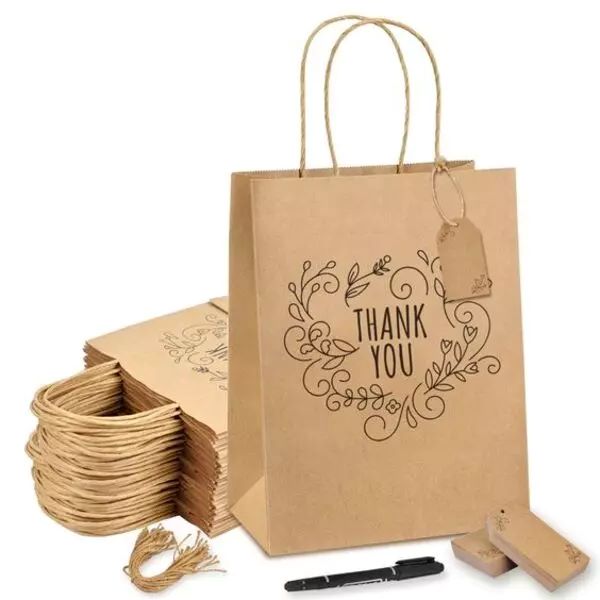 Túi giấy kraft nâu đựng hàng thân thiện với môi trường Mẫu 6 túi giấy kraft nâu