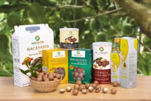 Bao bì hạt macca giúp ngăn ẩm chống oxy hóa