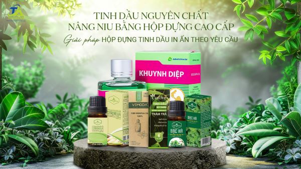 Lý do nên lựa chọn hộp đựng giấy tinh dầu