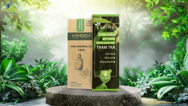 Mẫu 1 hộp giấy đựng tinh dầu
