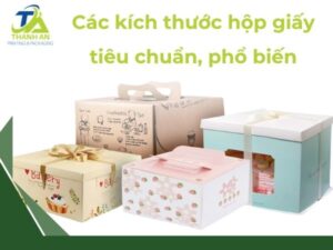 Kích thước hộp giấy tiêu chuẩn tại In Thanh An