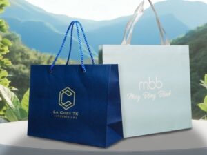 In Thanh An giới thiệu 10+ mẫu túi giấy in logo nhận diện thương hiệu đẹp