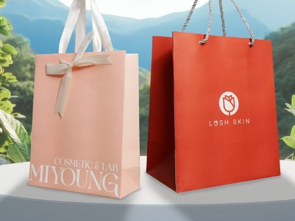10+ mẫu túi giấy in logo nhận diện thương hiệu đẹp, giá rẻ Túi giấy Bristol định lượng cao giữ form dáng túi tốt